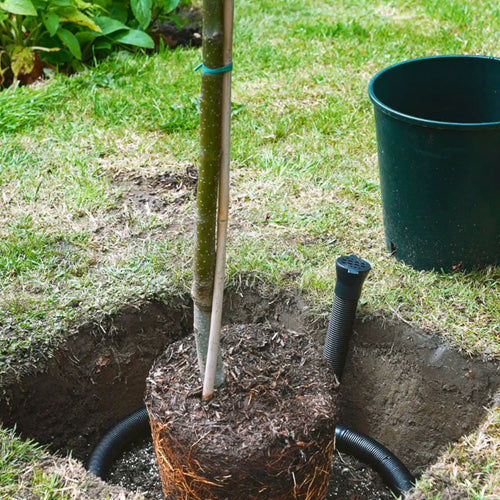 How to Install a Tree Irrigation Kit