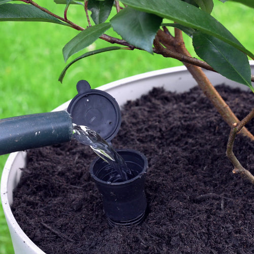 How to Install a Container Irrigation Kit