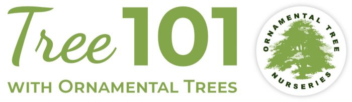 Tree 101: The Ultimate Tree Planting & Care Video Series