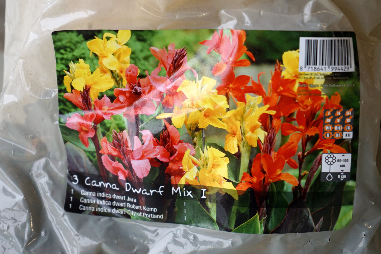 Canna Dwarf Bulbs Mix packet