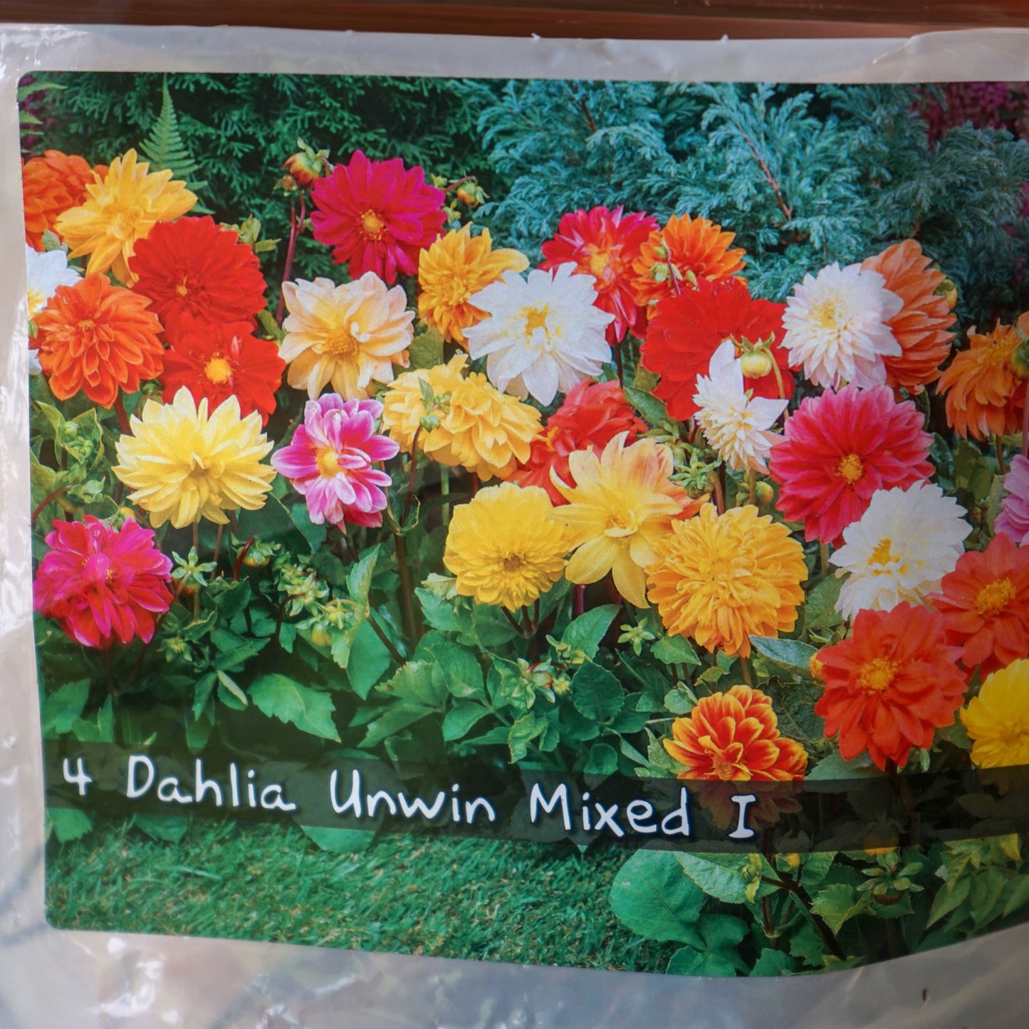 Dahlia Unwin Tubers Mix packet