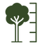 Plant height icon