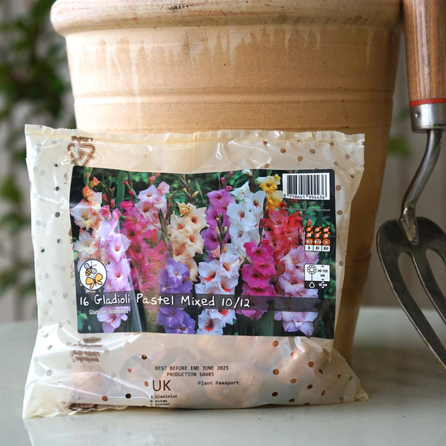 Gladioli Pastel Bulbs Mix packet