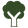 Mature standard tree