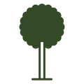 Lollipop tree silhouette