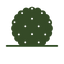 English Yew Topiary Ball