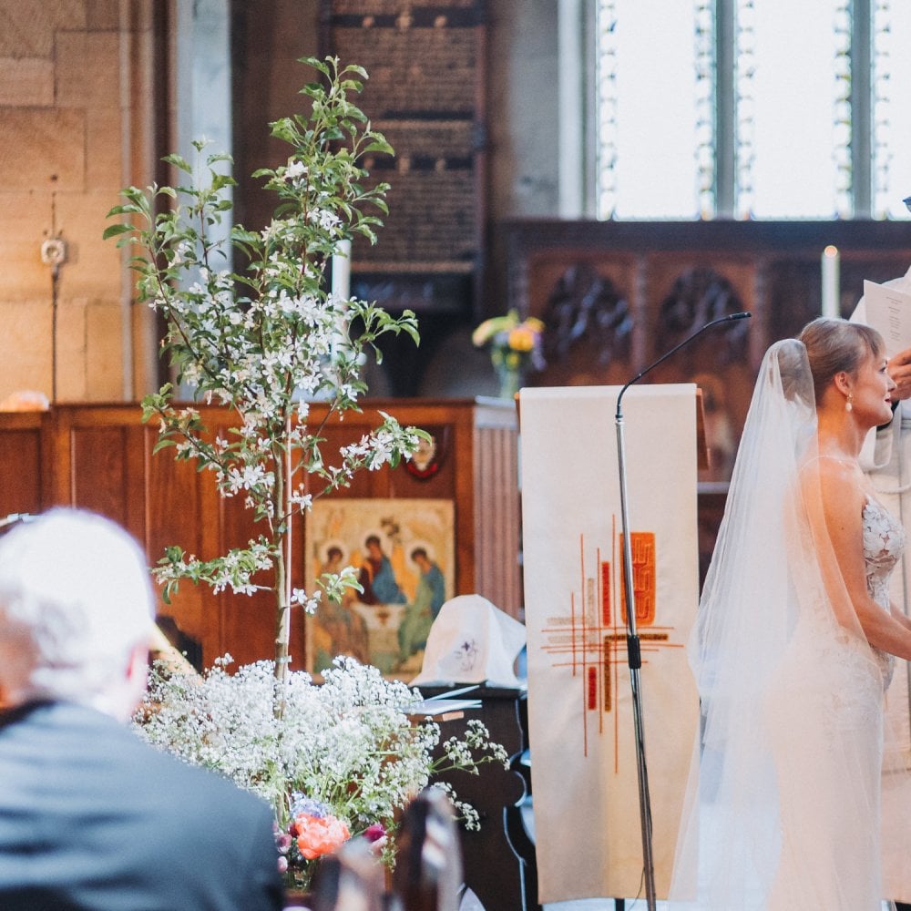 Malus brevipes 'Wedding Bouquet' at a wedding ceremony