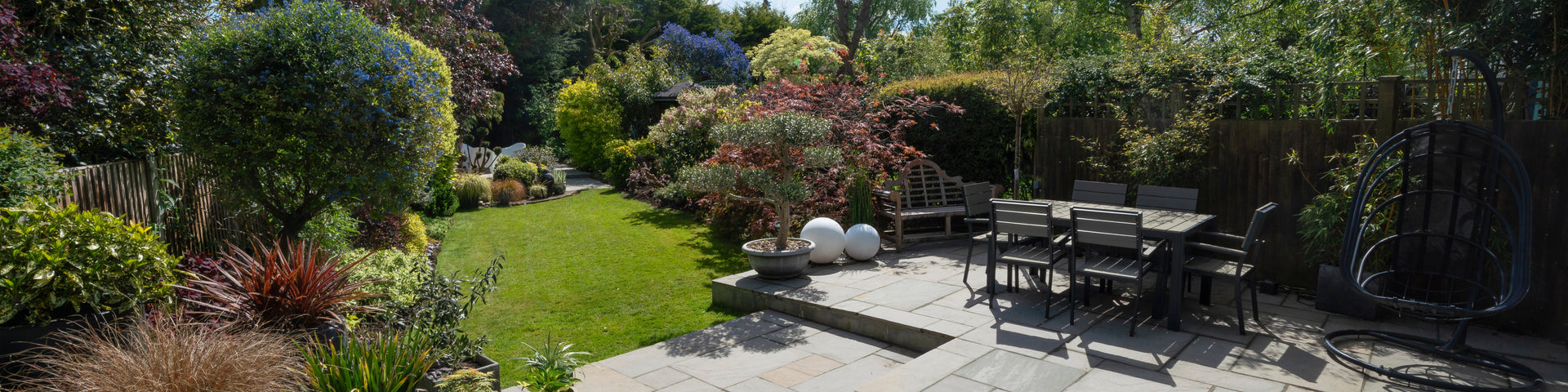 Attractive garden with trees and plants