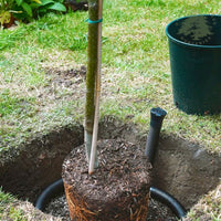 Tree irrigation kit in planting hole