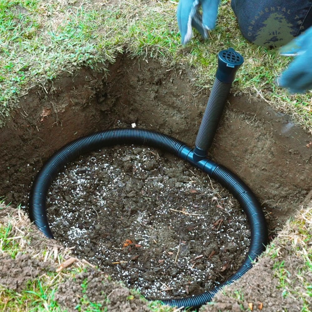 tree irrigation kit in the ground